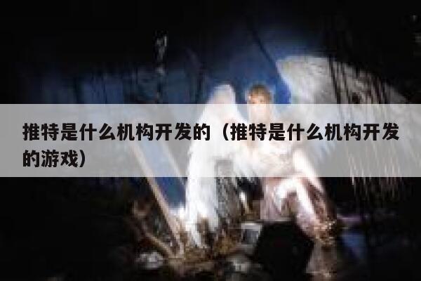 推特是什么机构开发的（推特是什么机构开发的游戏） 第1张