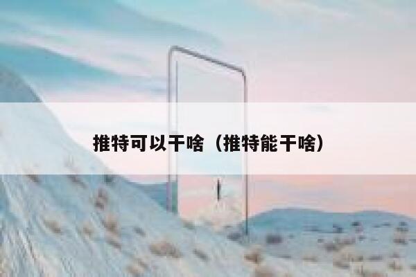 推特可以干啥（推特能干啥） 第1张