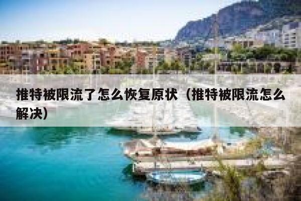 推特被限流了怎么恢复原状（推特被限流怎么解决） 第1张