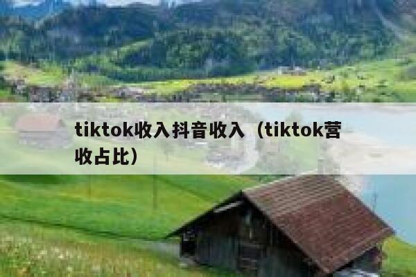 tiktok收入抖音收入（tiktok营收占比） 第1张