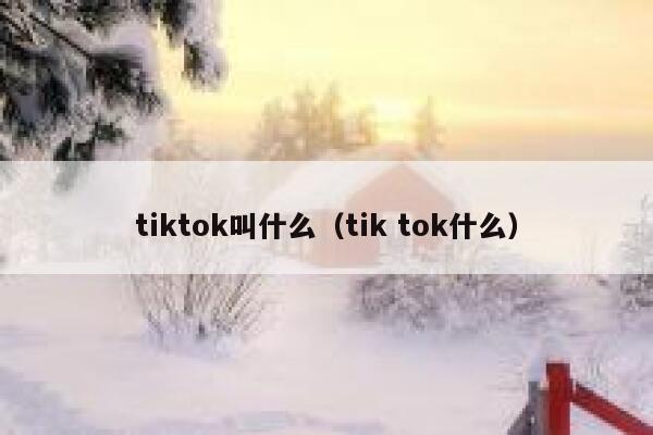 tiktok叫什么（tik tok什么） 第1张
