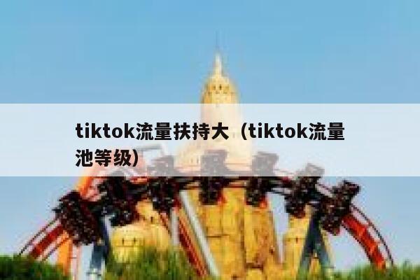 tiktok流量扶持大（tiktok流量池等级） 第1张