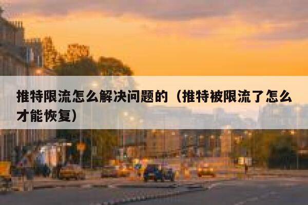 推特限流怎么解决问题的（推特被限流了怎么才能恢复） 第1张