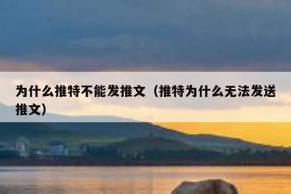 为什么推特不能发推文（推特为什么无法发送推文） 第1张