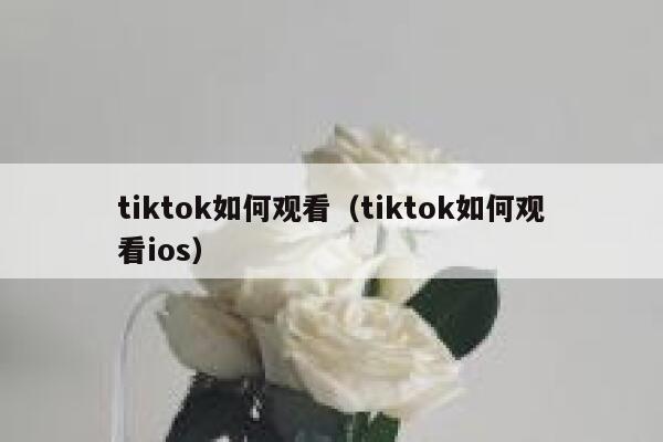 tiktok如何观看（tiktok如何观看ios） 第1张