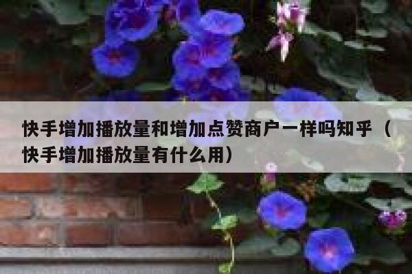 快手增加播放量和增加点赞商户一样吗知乎(快手增加播放量有什么用) 第1张 快手增加播放量和增加点赞商户一样吗知乎(快手增加播放量有什么用) 第1张