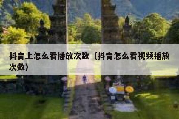 抖音上怎么看播放次数(抖音怎么看视频播放次数) 第1张 抖音上怎么看播放次数(抖音怎么看视频播放次数) 第1张
