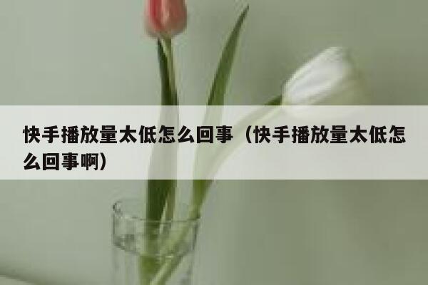 快手播放量太低怎么回事(快手播放量太低怎么回事啊) 第1张 快手播放量太低怎么回事(快手播放量太低怎么回事啊) 第1张