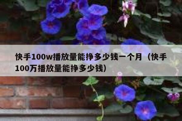 快手100w播放量能挣多少钱一个月（快手100万播放量能挣多少钱） 第1张