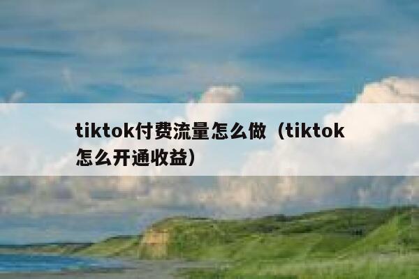 tiktok付费流量怎么做(tiktok怎么开通收益) 第1张 tiktok付费流量怎么做(tiktok怎么开通收益) 第1张