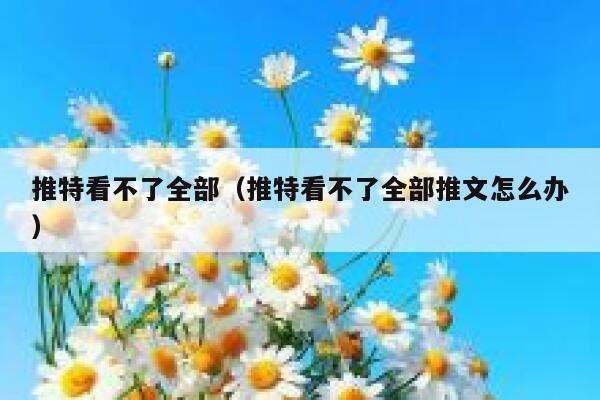 推特看不了全部（推特看不了全部推文怎么办） 第1张