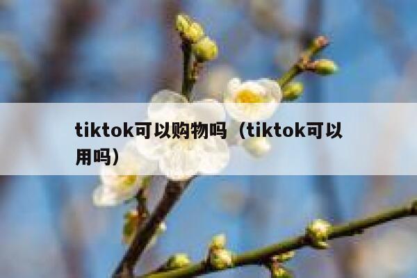 tiktok可以购物吗（tiktok可以用吗） 第1张