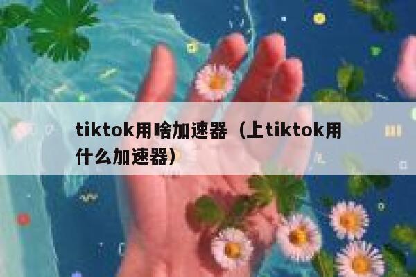 tiktok用啥加速器（上tiktok用什么加速器） 第1张