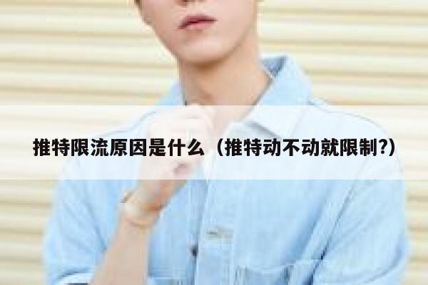 推特限流原因是什么（推特动不动就限制?） 第1张