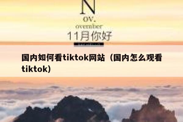 国内如何看tiktok网站（国内怎么观看tiktok） 第1张