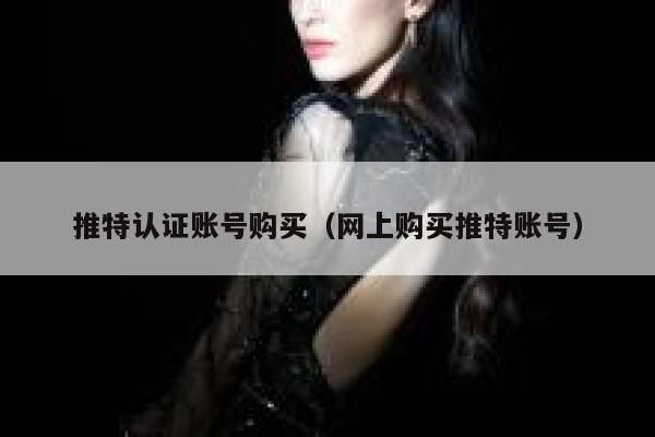 推特认证账号购买（网上购买推特账号） 第1张