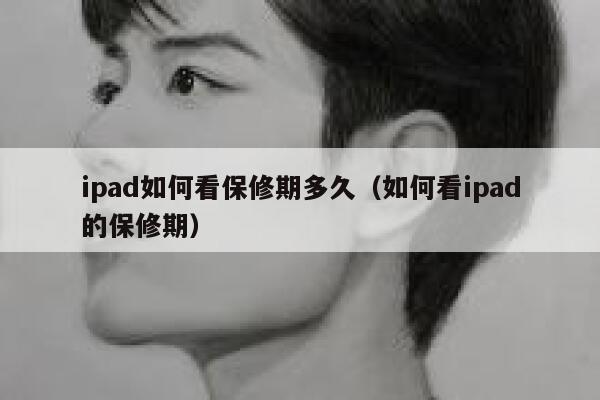 ipad如何看保修期多久(如何看ipad的保修期) 第1张 ipad如何看保修期多久(如何看ipad的保修期) 第1张