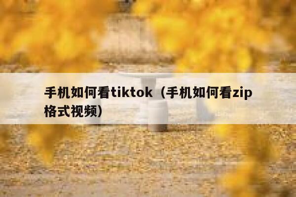 手机如何看tiktok(手机如何看zip格式视频) 第1张 手机如何看tiktok(手机如何看zip格式视频) 第1张