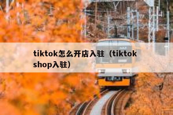 tiktok怎么开店入驻（tiktok shop入驻） 第1张