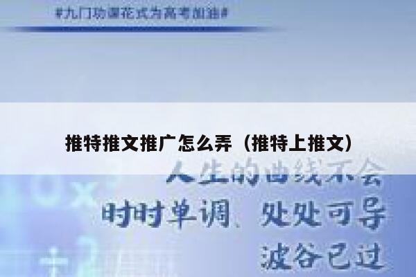 推特推文推广怎么弄（推特上推文） 第1张