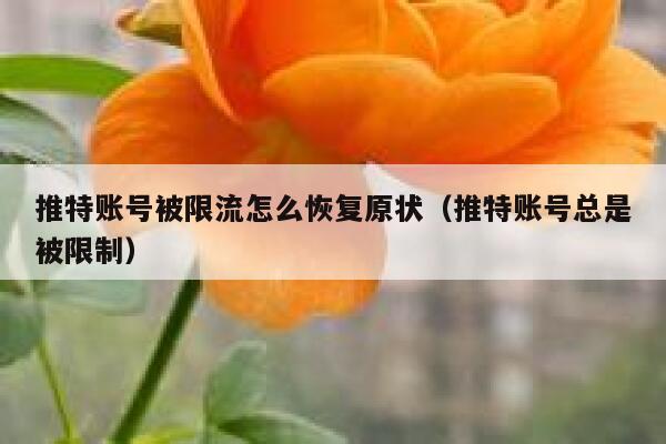 推特账号被限流怎么恢复原状（推特账号总是被限制） 第1张
