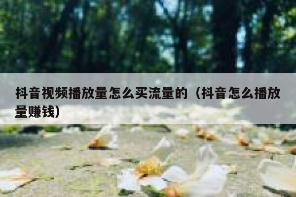 抖音视频播放量怎么买流量的（抖音怎么播放量赚钱） 第1张