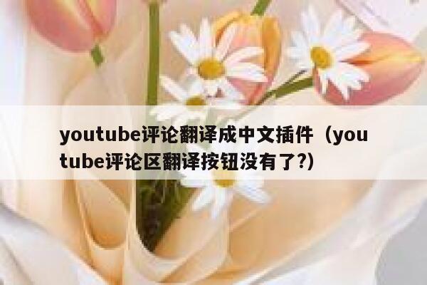 youtube评论翻译成中文插件（youtube评论区翻译按钮没有了?） 第1张