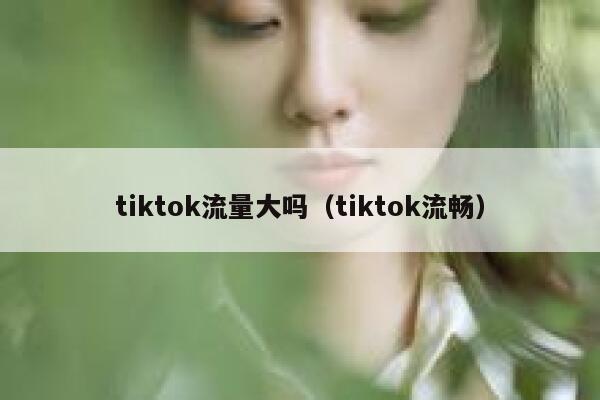 tiktok流量大吗（tiktok流畅） 第1张