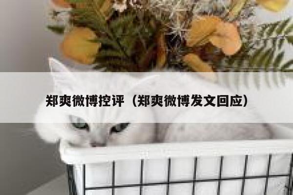 郑爽微博控评（郑爽微博发文回应） 第1张
