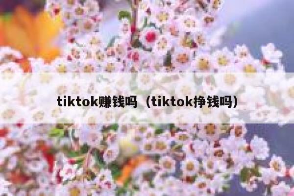 tiktok赚钱吗（tiktok挣钱吗） 第1张