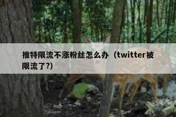 推特限流不涨粉丝怎么办(twitter被限流了?) 第1张 推特限流不涨粉丝怎么办(twitter被限流了?) 第1张
