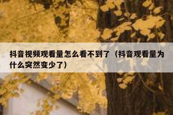 抖音视频观看量怎么看不到了（抖音观看量为什么突然变少了） 第1张