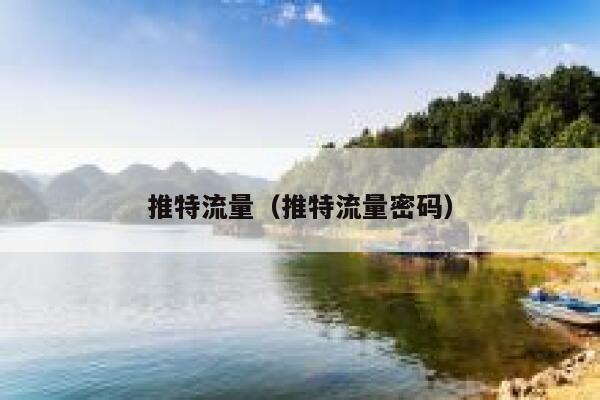 推特流量（推特流量密码） 第1张