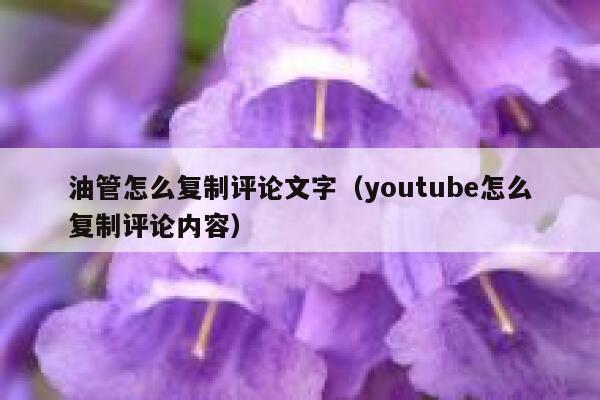 油管怎么复制评论文字(youtube怎么复制评论内容) 第1张 油管怎么复制评论文字(youtube怎么复制评论内容) 第1张
