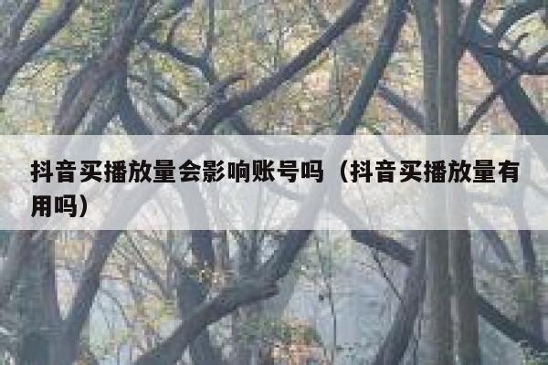 抖音买播放量会影响账号吗（抖音买播放量有用吗） 第1张