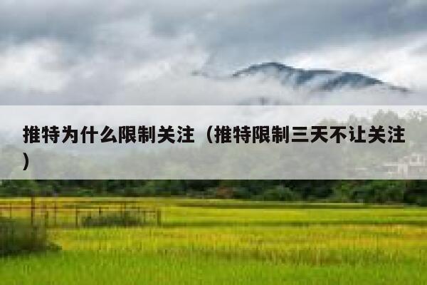 推特为什么限制关注（推特限制三天不让关注） 第1张