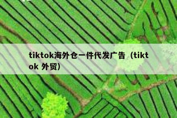 tiktok海外仓一件代发广告（tiktok 外贸） 第1张