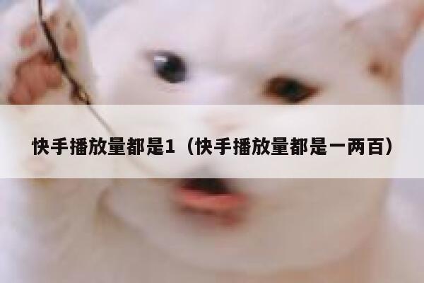 快手播放量都是1(快手播放量都是一两百) 第1张 快手播放量都是1(快手播放量都是一两百) 第1张