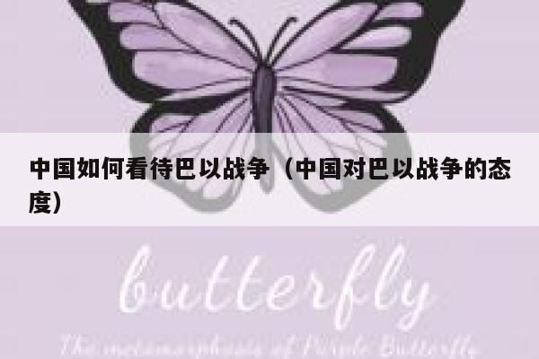 中国如何看待巴以战争（中国对巴以战争的态度） 第1张