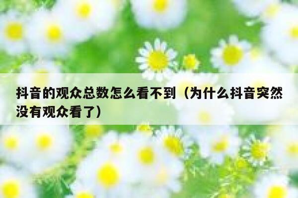 抖音的观众总数怎么看不到（为什么抖音突然没有观众看了） 第1张