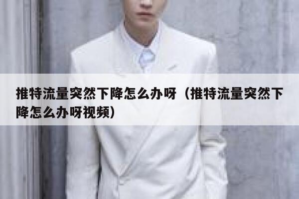 推特流量突然下降怎么办呀(推特流量突然下降怎么办呀视频) 第1张 推特流量突然下降怎么办呀(推特流量突然下降怎么办呀视频) 第1张