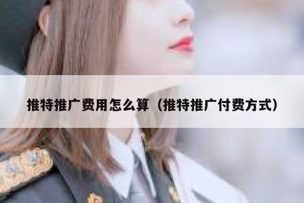 推特推广费用怎么算(推特推广付费方式) 第1张 推特推广费用怎么算(推特推广付费方式) 第1张
