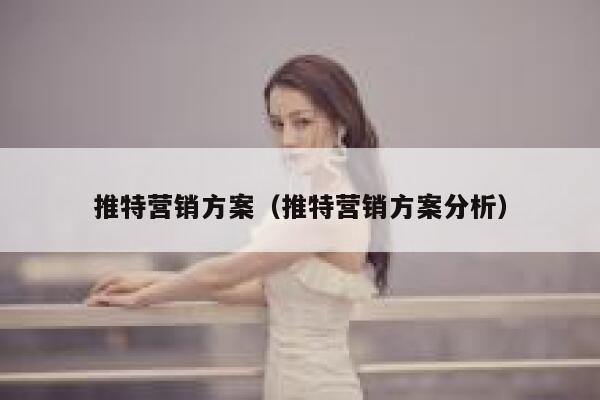推特营销方案（推特营销方案分析） 第1张