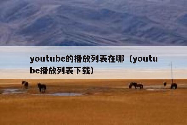 youtube的播放列表在哪（youtube播放列表下载） 第1张