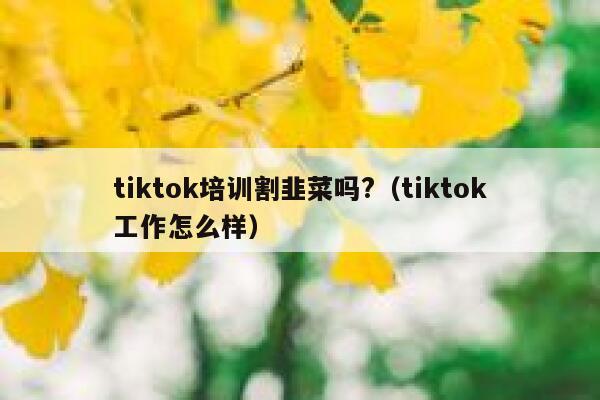 tiktok培训割韭菜吗?（tiktok工作怎么样） 第1张