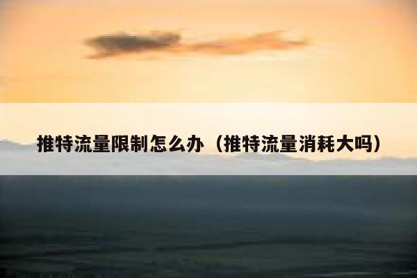 推特流量限制怎么办（推特流量消耗大吗） 第1张