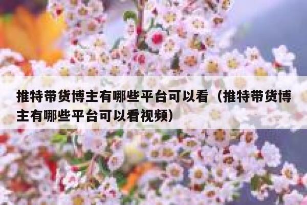 推特带货博主有哪些平台可以看（推特带货博主有哪些平台可以看视频） 第1张