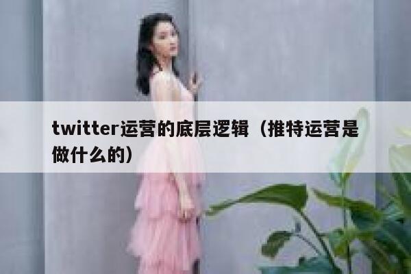 twitter运营的底层逻辑(推特运营是做什么的) 第1张 twitter运营的底层逻辑(推特运营是做什么的) 第1张