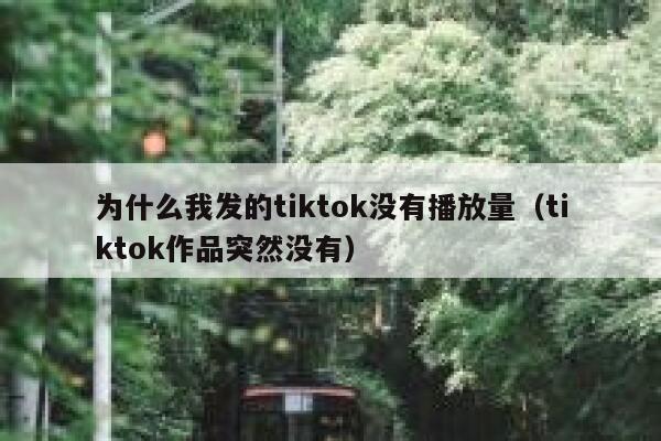 为什么我发的tiktok没有播放量（tiktok作品突然没有） 第1张