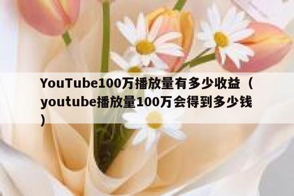 YouTube100万播放量有多少收益（youtube播放量100万会得到多少钱） 第1张